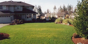 Reliable Southcenter Artificial Grass in WA near 98188