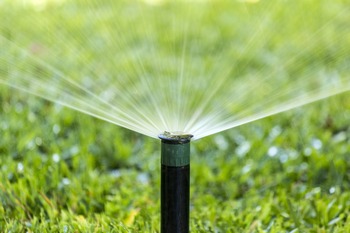Expert Newcastle irrigation service in WA near 98056