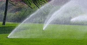 Best Southcenter irrigation sprinkler in WA near 98188