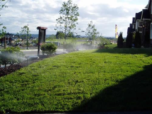 Irrigation/Sprinkler Systems