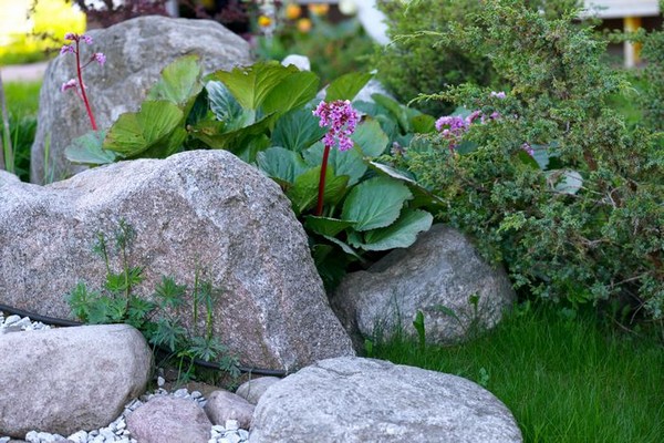 Landscaping-Boulders-White-Center-WA