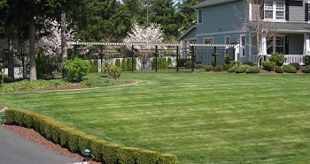 Skilled Southcenter Lawn Care  in WA near 98188
