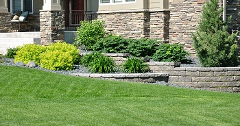 Lawn-Care-Tips-Maple-Valley-WA