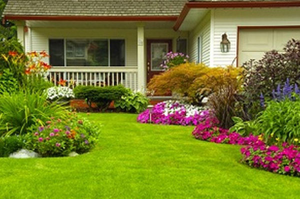 Best Southcenter Lawn Care Tips in WA near 98188