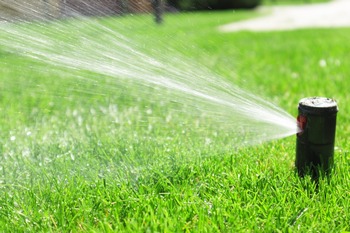 Bonney Lake lawn irrigation services by professionals in WA near 98391