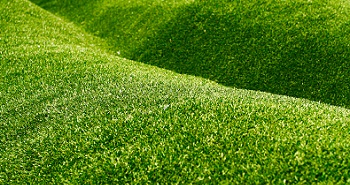Affordable Southcenter Lawn Services in WA near 98188
