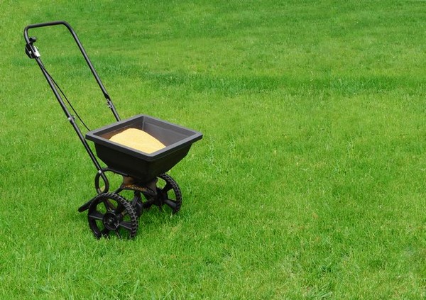 Summer-Lawn-Care-Maple-Valley-WA