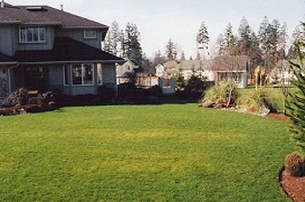 Affordable Southcenter Summer Lawn Care in WA near 98188