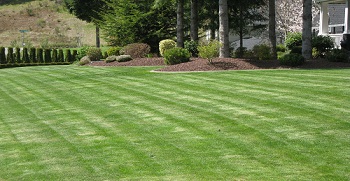 Synthetic-Grass-Snoqualmie-WA