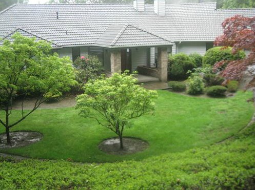 Best Southcenter commerical landscaping in WA near 98188