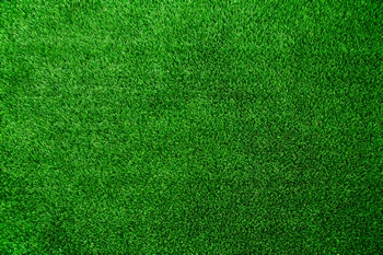 Exceptional Enumclaw artificial grass in WA near 98022