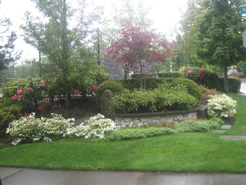 White Center commercial landscaping professionals in WA near 98106