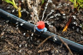 Upgrade your Edgewood drip irrigation system in WA near 98371