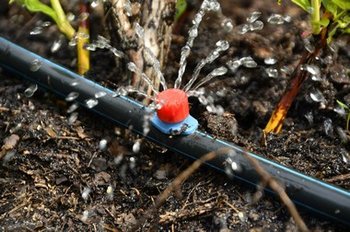 Upgrade your Issaquah drip irrigation system in WA near 98027