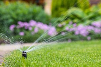 White Center lawn irrigation expertise in WA near 98106