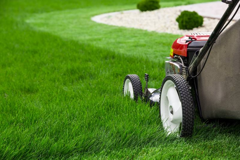 Expert White Center lawn maintenance in WA near 98106