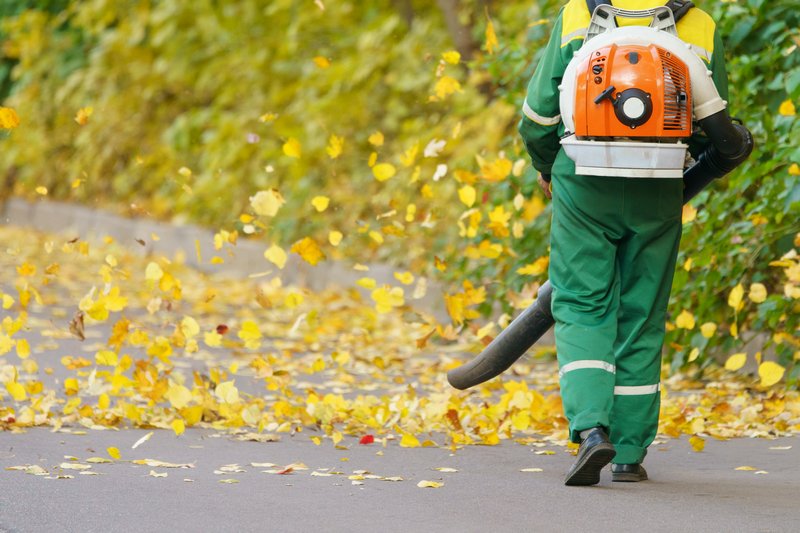 Leaf-Clean-Up-SeaTac-WA