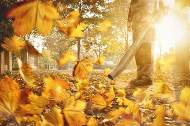 Leaf-Removal-Auburn-WA