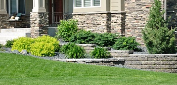 Sod-Installation-Maple-Valley-WA