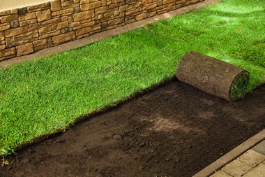 Professional Puyallup sod installation in WA near 98372