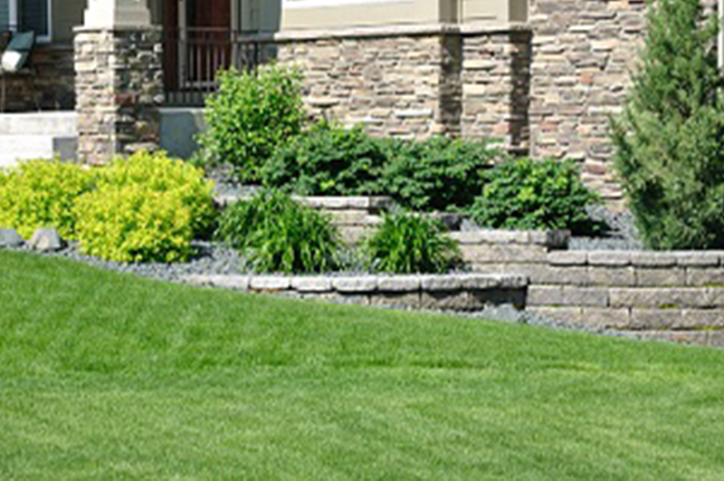 White Center spring green lawn care specialists in WA near 98106