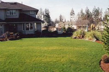 artificial-grass-clyde-hill-wa