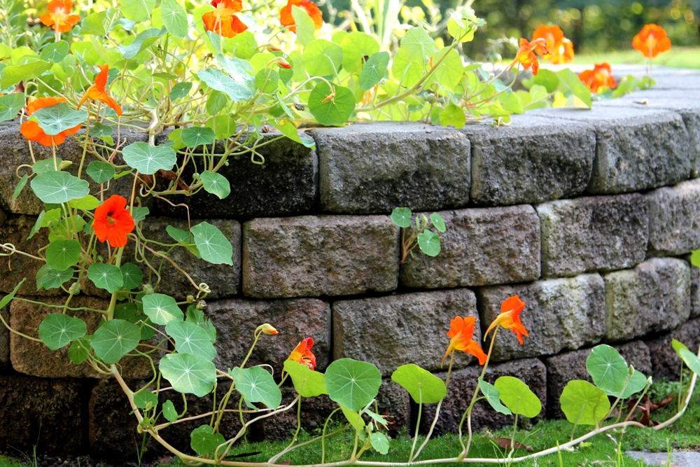 brick-retaining-wall-south-king-county-wa