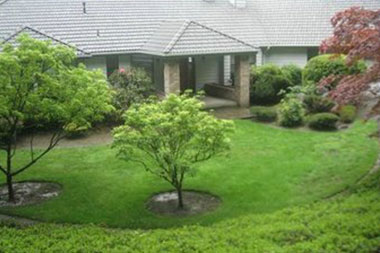 Commercial-Landscape-Service-South-Hill-WA