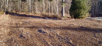 Grass-Hydroseeding-Federal-Way-WA