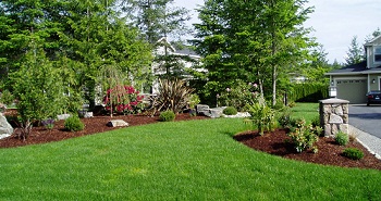 Hydroseeding-Woodinville-WA