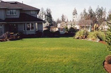 Land-Clearing-Auburn-WA