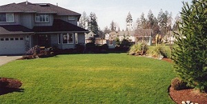 Land-Clearing-Kent-WA