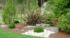 Land-Clearing-Maple-Valley-WA