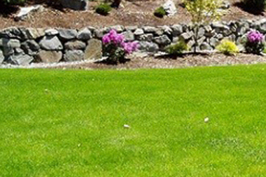 Lawn-Service-Black-Diamond-WA