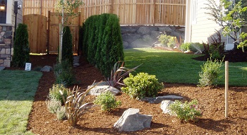 Landscaping-Bushes-Burien-WA