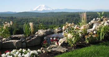 Landscaping-Bushes-Des-Moines-WA