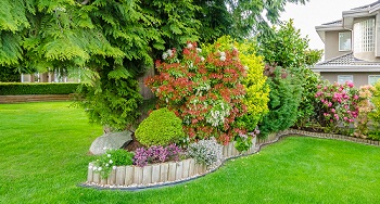 Lawn-Care-Sammamish-WA