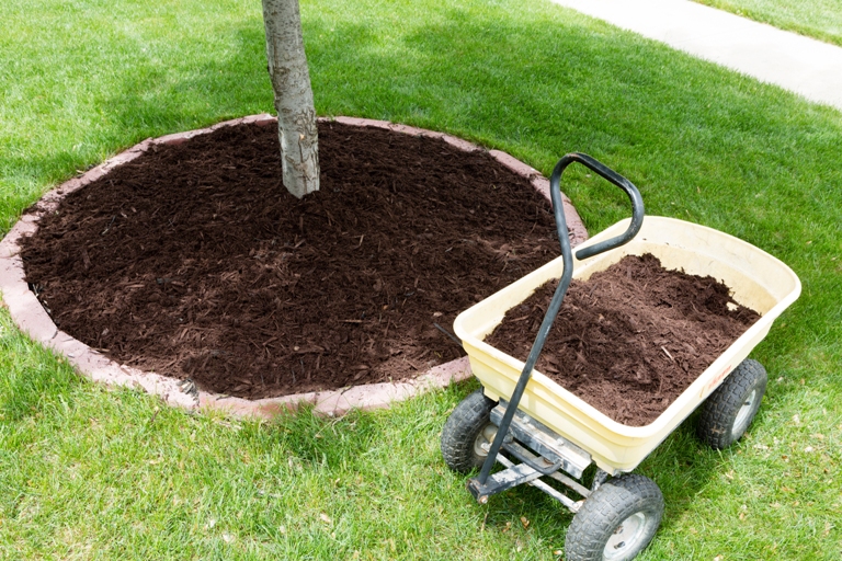 Mulch-Installation-South-Prairie-WA