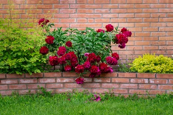 Kirkland brick wall work in WA near 98033