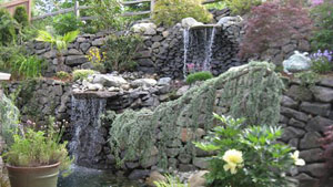 Lawn-Services-Kirkland-WA