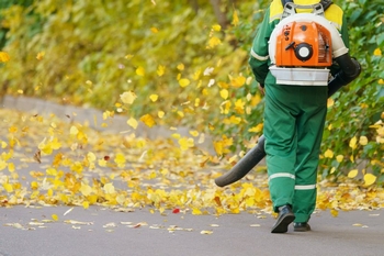 Kirkland leaf cleanup professionals in WA near 98033