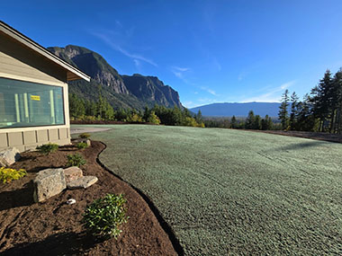 Grass-Hydroseeding-Black-Diamond-WA