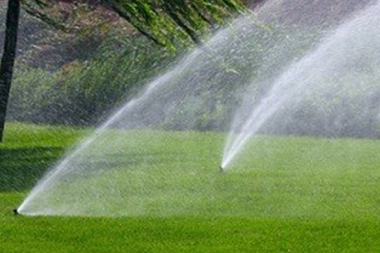 Expert Black Diamond irrigation repair in WA near 98010