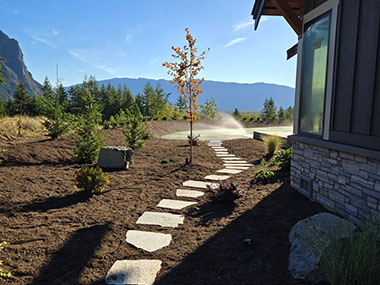 Lawn-Hydroseeding-Black-Diamond-WA